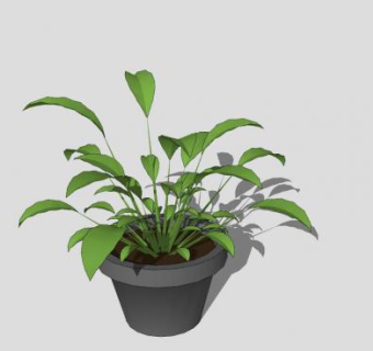 现代花盆藤蔓植物SU模型下载_sketchup草图大师SKP模型