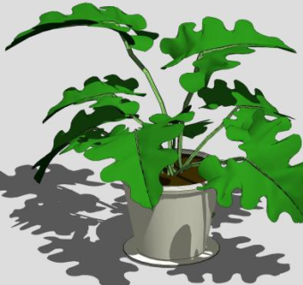 蔓绿绒植物盆栽SU模型下载_sketchup草图大师SKP模型