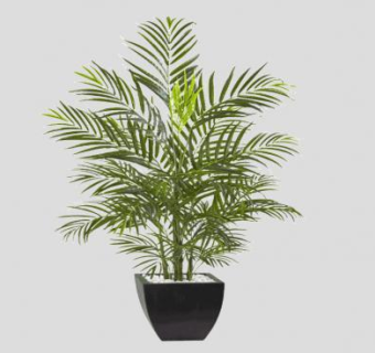 棕榈科室内盆栽SU模型下载_sketchup草图大师SKP模型