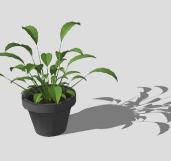 园艺盆栽植物SU模型下载_sketchup草图大师SKP模型