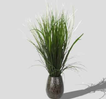 草本植物观赏盆栽SU模型下载_sketchup草图大师SKP模型