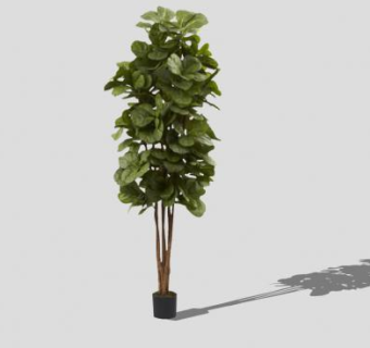 观叶乔木盆景盆栽SU模型下载_sketchup草图大师SKP模型