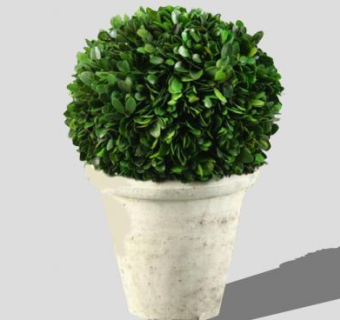 砂岩花盆观叶盆栽SU模型下载_sketchup草图大师SKP模型