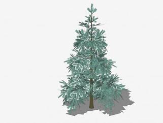 常绿松树植物SU模型下载_sketchup草图大师SKP模型
