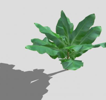 巨型草本植物香蕉树SU模型下载_sketchup草图大师SKP模型