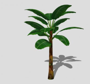 草本植物芭蕉树SU模型下载_sketchup草图大师SKP模型