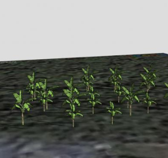 芭蕉树果树林SU模型下载_sketchup草图大师SKP模型