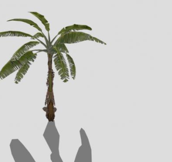 单子叶绿叶植物芭蕉树SU模型下载_sketchup草图大师SKP模型