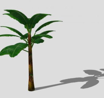 常绿植物芭蕉树SU模型下载_sketchup草图大师SKP模型
