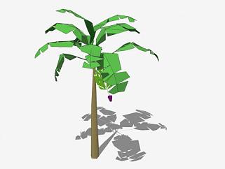 热带香蕉树SU模型下载_sketchup草图大师SKP模型