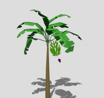 热带植物芭蕉树SU模型下载_sketchup草图大师SKP模型