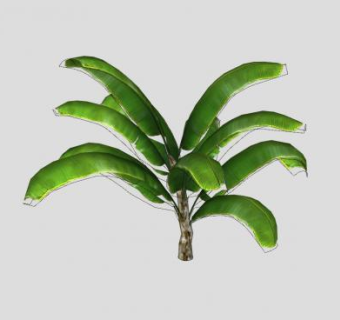 香蕉树植物SU模型下载_sketchup草图大师SKP模型