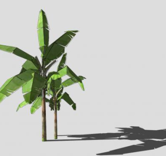 大小芭蕉树植物SU模型下载_sketchup草图大师SKP模型
