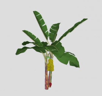多年生草本芭蕉树SU模型下载_sketchup草图大师SKP模型