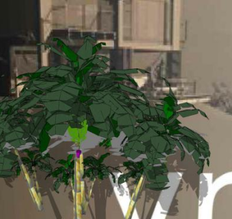 三棵芭蕉树植物SU模型下载_sketchup草图大师SKP模型
