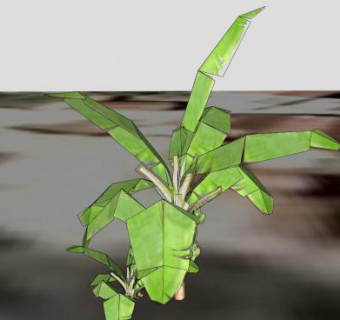 住宅区旁的香蕉树SU模型下载_sketchup草图大师SKP模型