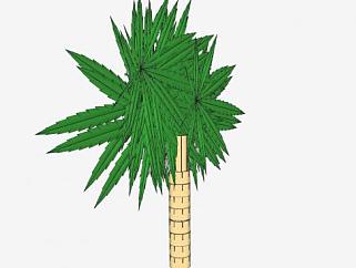 常绿热带树木SU模型下载_sketchup草图大师SKP模型