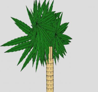 常绿热带树木SU模型下载_sketchup草图大师SKP模型