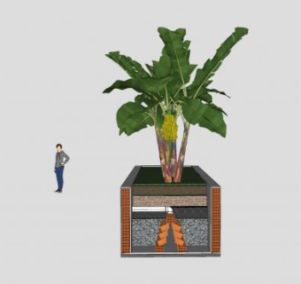 马尼拉麻蕉SU模型下载_sketchup草图大师SKP模型