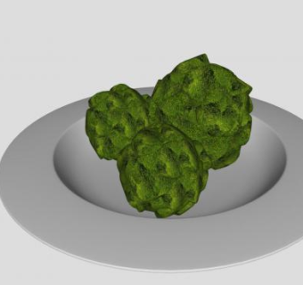 盘中的苔藓球SU模型下载_sketchup草图大师SKP模型