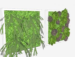 肉质植物和苔藓盆栽SU模型下载_sketchup草图大师SKP模型