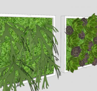 肉质植物和苔藓盆栽SU模型下载_sketchup草图大师SKP模型