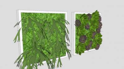 肉质植物和苔藓盆栽SU模型下载_sketchup草图大师SKP模型