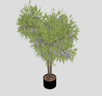 紫藤树盆栽SU模型下载_sketchup草图大师SKP模型
