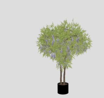 双木制藤本紫藤树盆栽SU模型下载_sketchup草图大师SKP模型