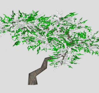 白色的紫藤树SU模型下载_sketchup草图大师SKP模型