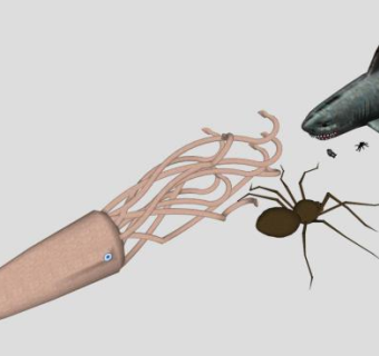 鲨鱼章鱼蜘蛛鱿鱼等动物的SU模型下载_sketchup草图大师SKP模型