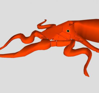 软体章鱼动物SU模型下载_sketchup草图大师SKP模型