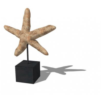 展示台上的海星SU模型下载_sketchup草图大师SKP模型
