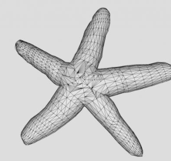 黑色真五角海星SU模型下载_sketchup草图大师SKP模型