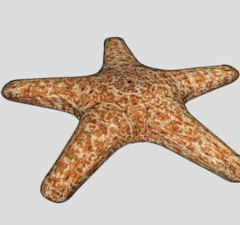 棘皮动物五角海星SU模型下载_sketchup草图大师SKP模型