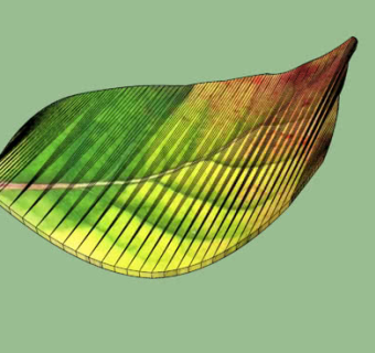 彩色叶子摆件SU模型下载_sketchup草图大师SKP模型