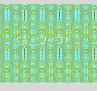 欧式绿色奖章墙纸下载_sketchup草图大师SKP模型