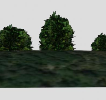 园艺灌木植物SU模型下载_sketchup草图大师SKP模型