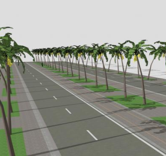 椰树观景道路SU模型下载_sketchup草图大师SKP模型