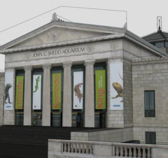 芝加哥谢德水族馆建筑SU模型下载_sketchup草图大师SKP模型