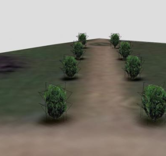 沙地公园植被走道SU模型下载_sketchup草图大师SKP模型