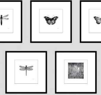 美式乡村风格蝴蝶昆虫装饰画挂画SU模型下载_sketchup草图大师SKP模型