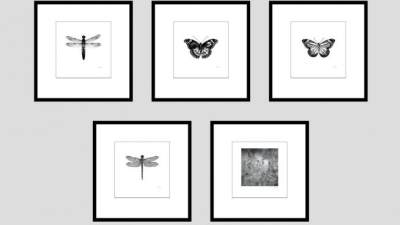 美式乡村风格蝴蝶昆虫装饰画挂画SU模型下载_sketchup草图大师SKP模型