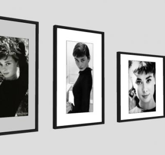 奥黛丽·赫本黑白摄影相片相框SU模型下载_sketchup草图大师SKP模型