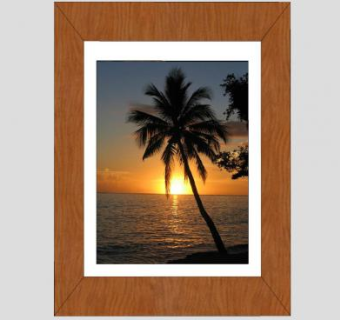 棕榈树和日落的相框绘画SU模型下载_sketchup草图大师SKP模型