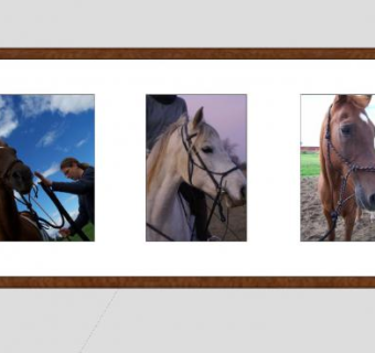 马驹摄影相框挂画SU模型下载_sketchup草图大师SKP模型