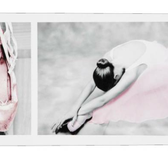 芭蕾舞舞蹈画装饰画挂画SU模型下载_sketchup草图大师SKP模型