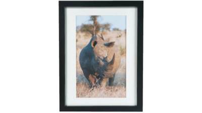 黑木框架现代犀牛摄影照片SU模型下载_sketchup草图大师SKP模型