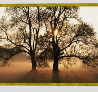 夕阳下树摄影作品挂画SU模型下载_sketchup草图大师SKP模型