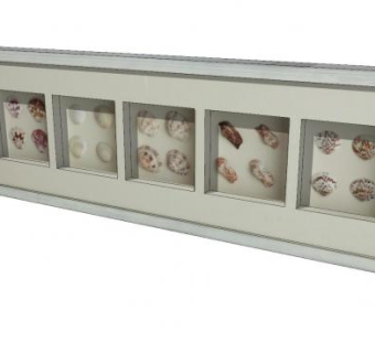 贝壳标本墙壁相框SU模型下载_sketchup草图大师SKP模型